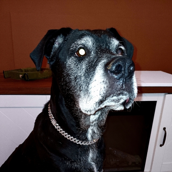 LIVE Show Sunday, Jan 18th 6:30pm EST - Picture 2 of 3